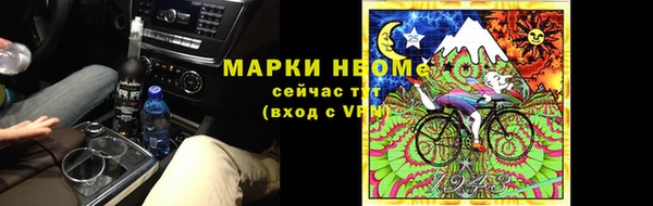 метадон Алексин