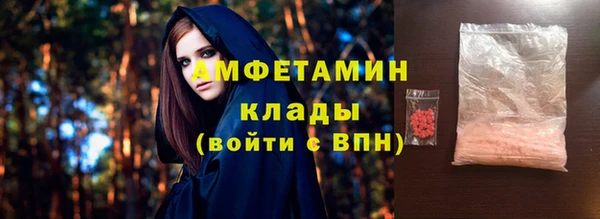 метадон Алексин
