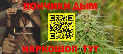 амф Боровичи
