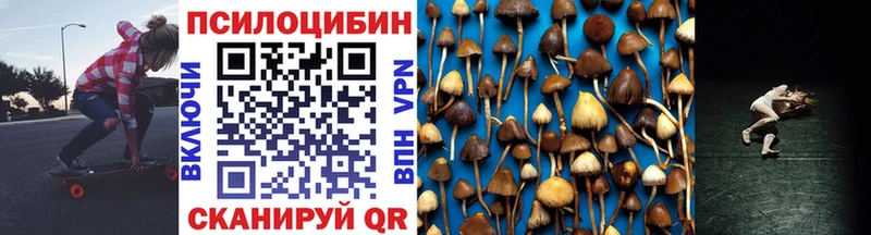 это как зайти  Карабулак  Галлюциногенные грибы прущие грибы  где продают  