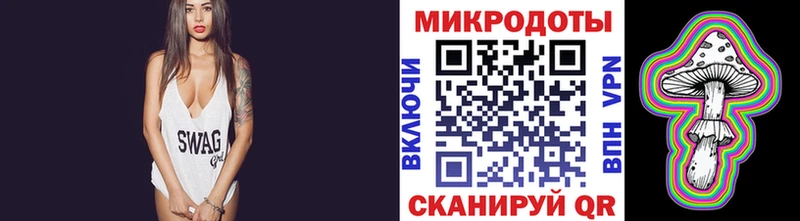 Псилоцибиновые грибы Psilocybe Карабулак
