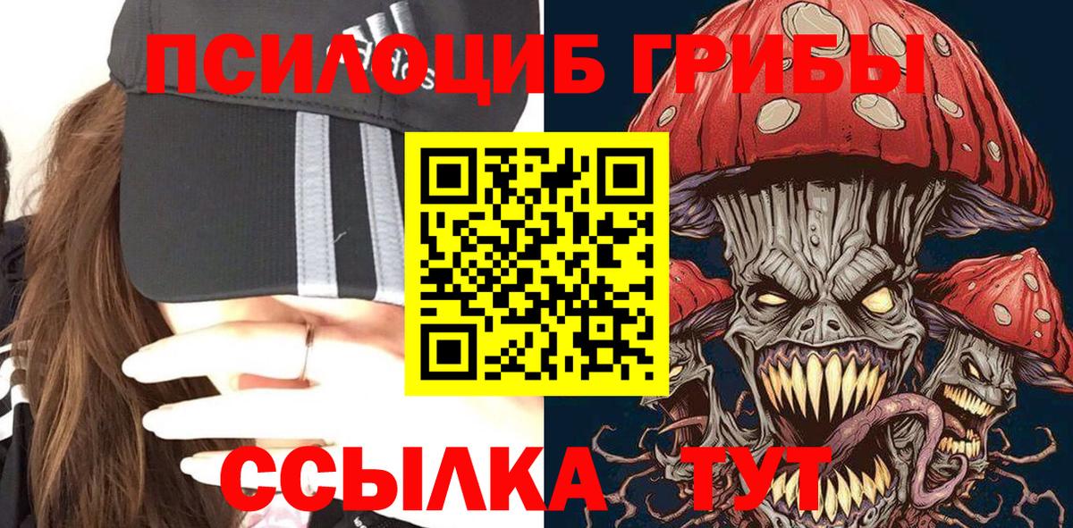 Карабулак  Псилоцибиновые грибы Cubensis  Галлюциногенные грибы Psilocybine cubensis  Вход с VPN 
