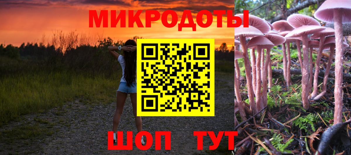 Галлюциногенные грибы GOLDEN TEACHER Карабулак
